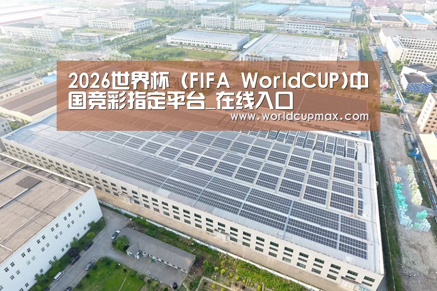 案例展示一