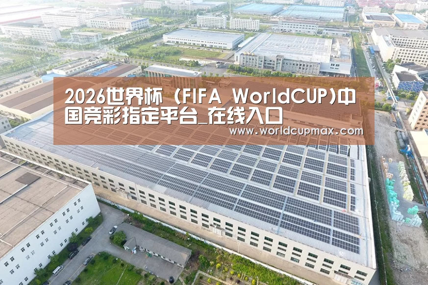 案例展示二