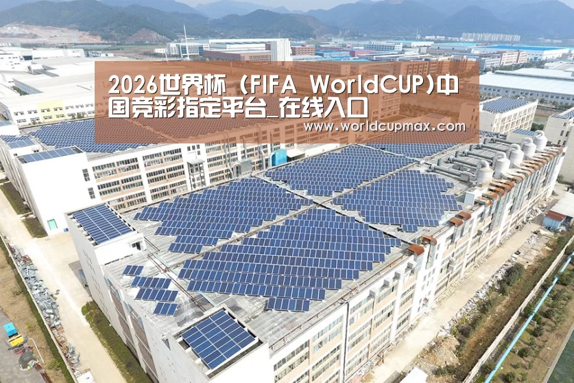 案例展示一