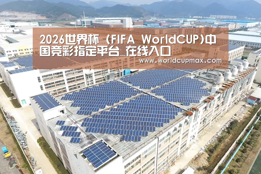 案例展示三