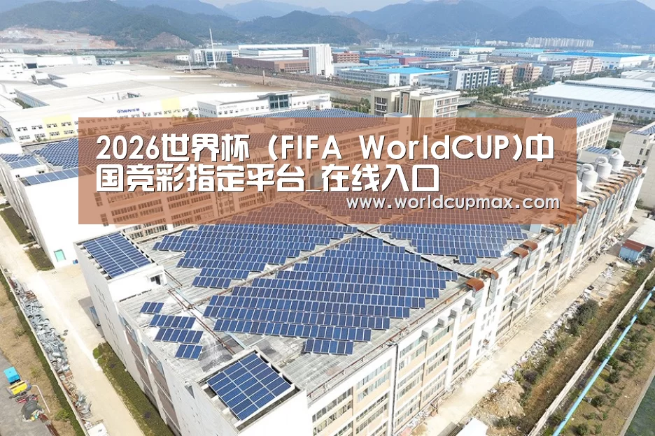 案例展示二