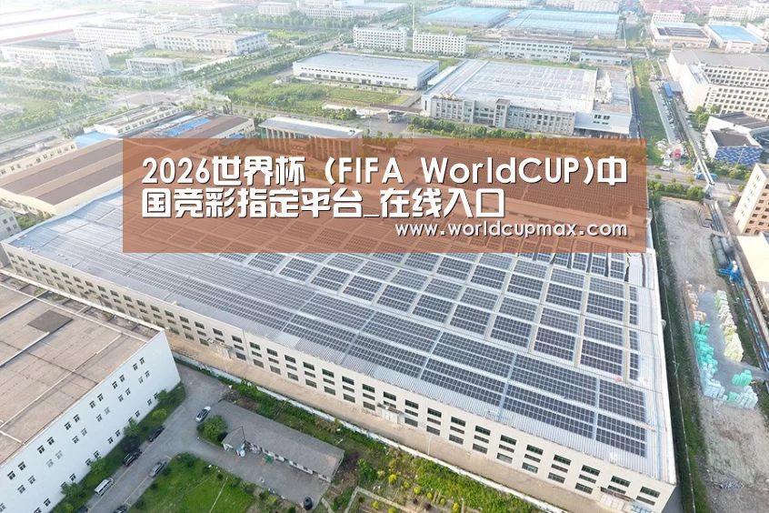 案例展示二