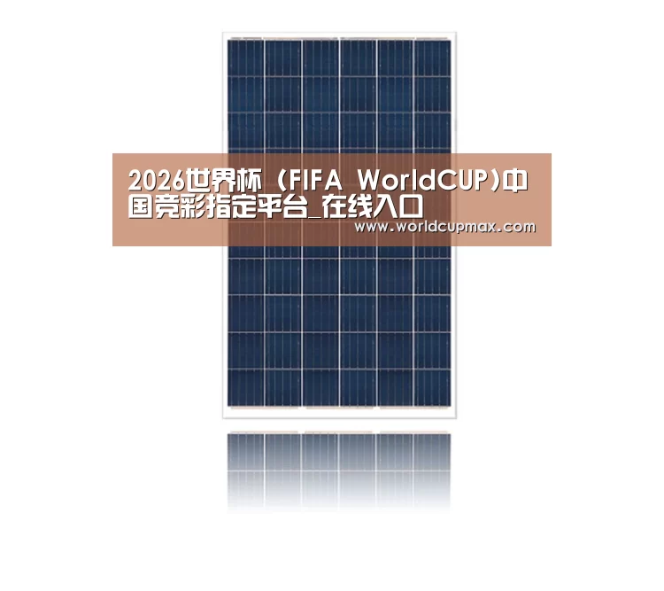 产品名称四