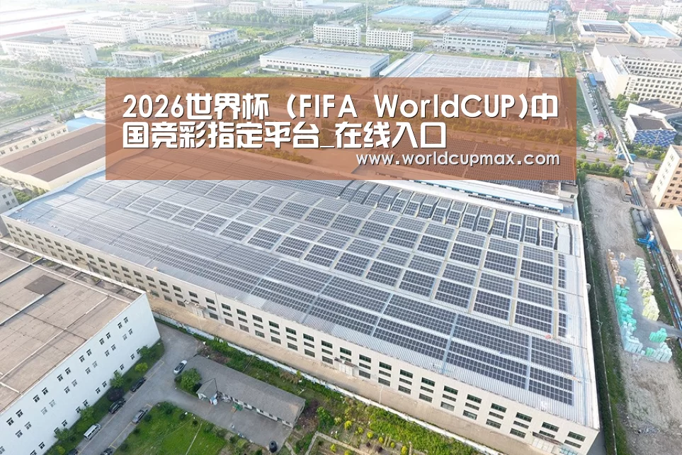 案例展示三