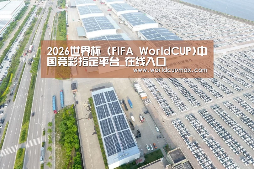 案例展示四