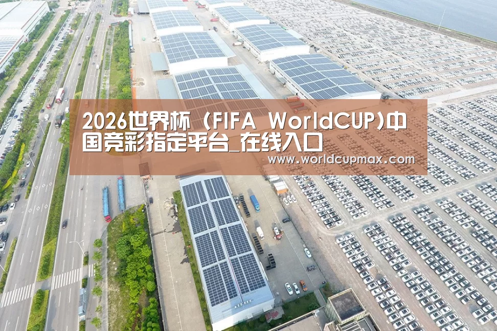 案例展示三