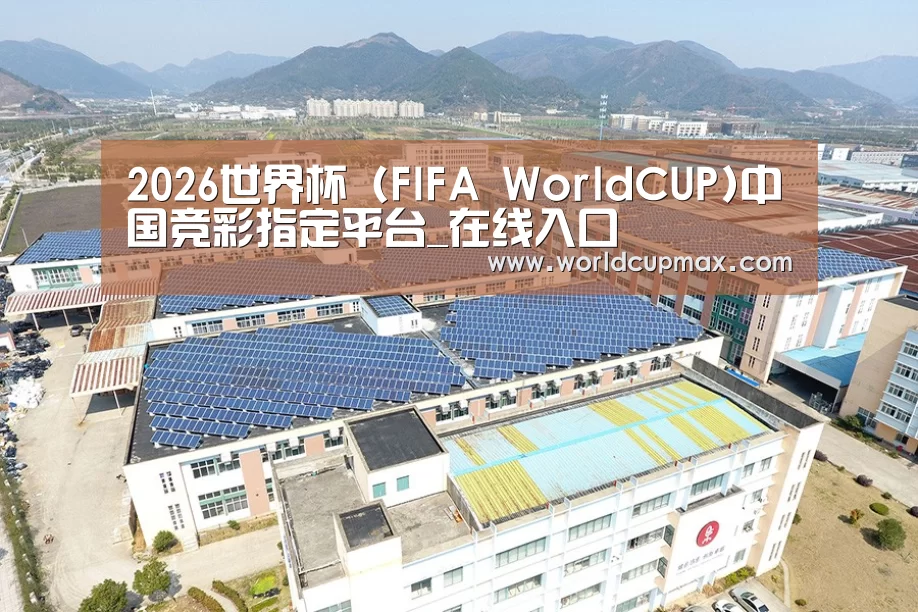 案例展示三