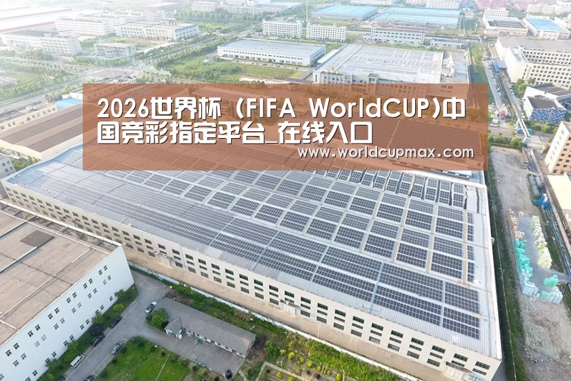 案例展示四
