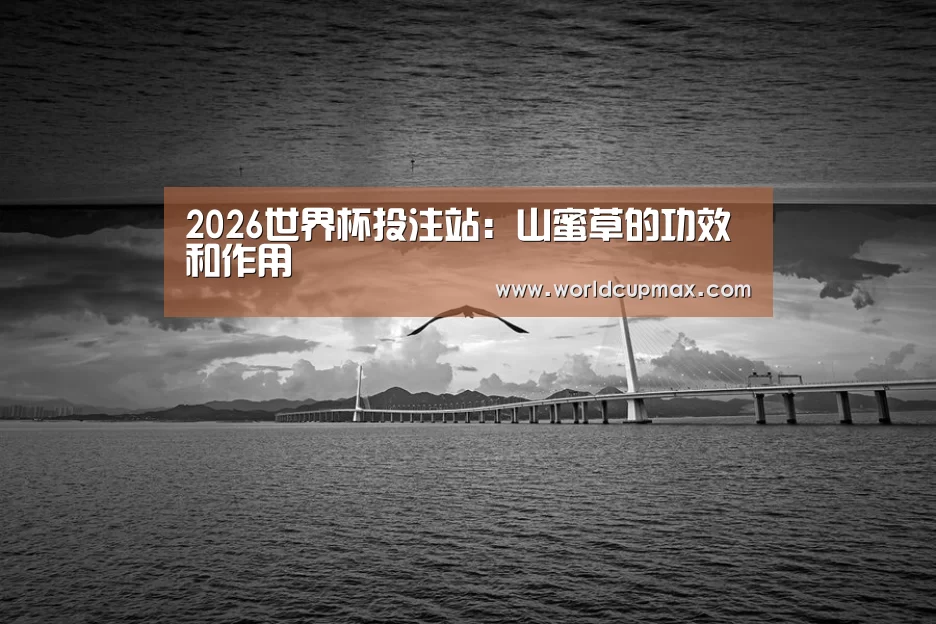 2026世界杯投注站:山蜜草的功效和作用(图2) 2026世界杯竞猜