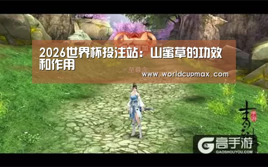 2026世界杯投注站:山蜜草的功效和作用(图3) 2026世界杯投注站