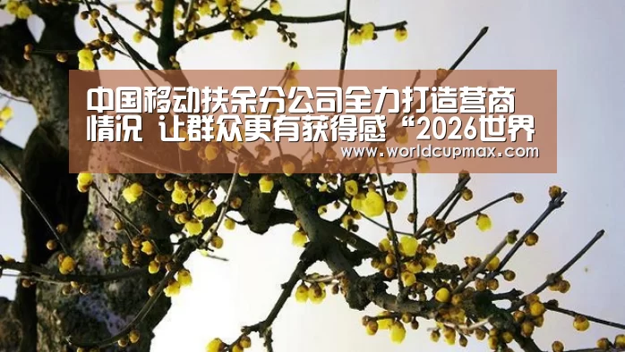 中国移动扶余分公司全力打造营商情况 让群众更有获得感“2026世界杯竞猜”(图1) 2026世界杯竞猜