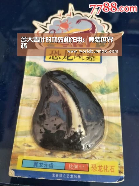 蓼大青叶的功效和作用:竞猜世界杯(图1) 2026世界杯投注站