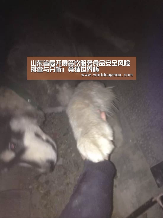 山东省局开展餐饮服务食品安全风险排查与分析:竞猜世界杯(图4) 2026世界杯投注站