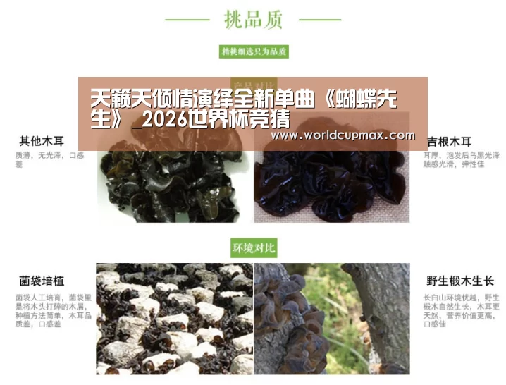 天籁天倾情演绎全新单曲《蝴蝶先生》_2026世界杯竞猜(图3) 竞猜世界杯