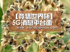 【竞猜世界杯】
5G消息平台面世 运营商与微信开启差异化竞争(图2) 2026世界杯投注站官网