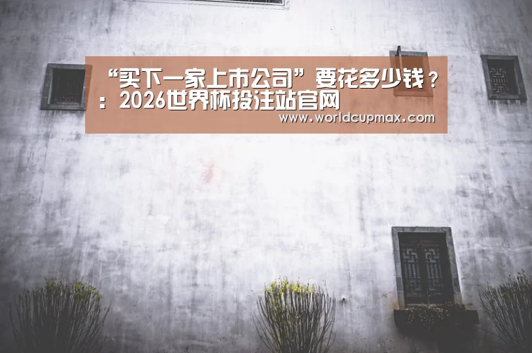 “买下一家上市公司”要花多少钱?:2026世界杯投注站官网(图2) 2026世界杯投注站官网