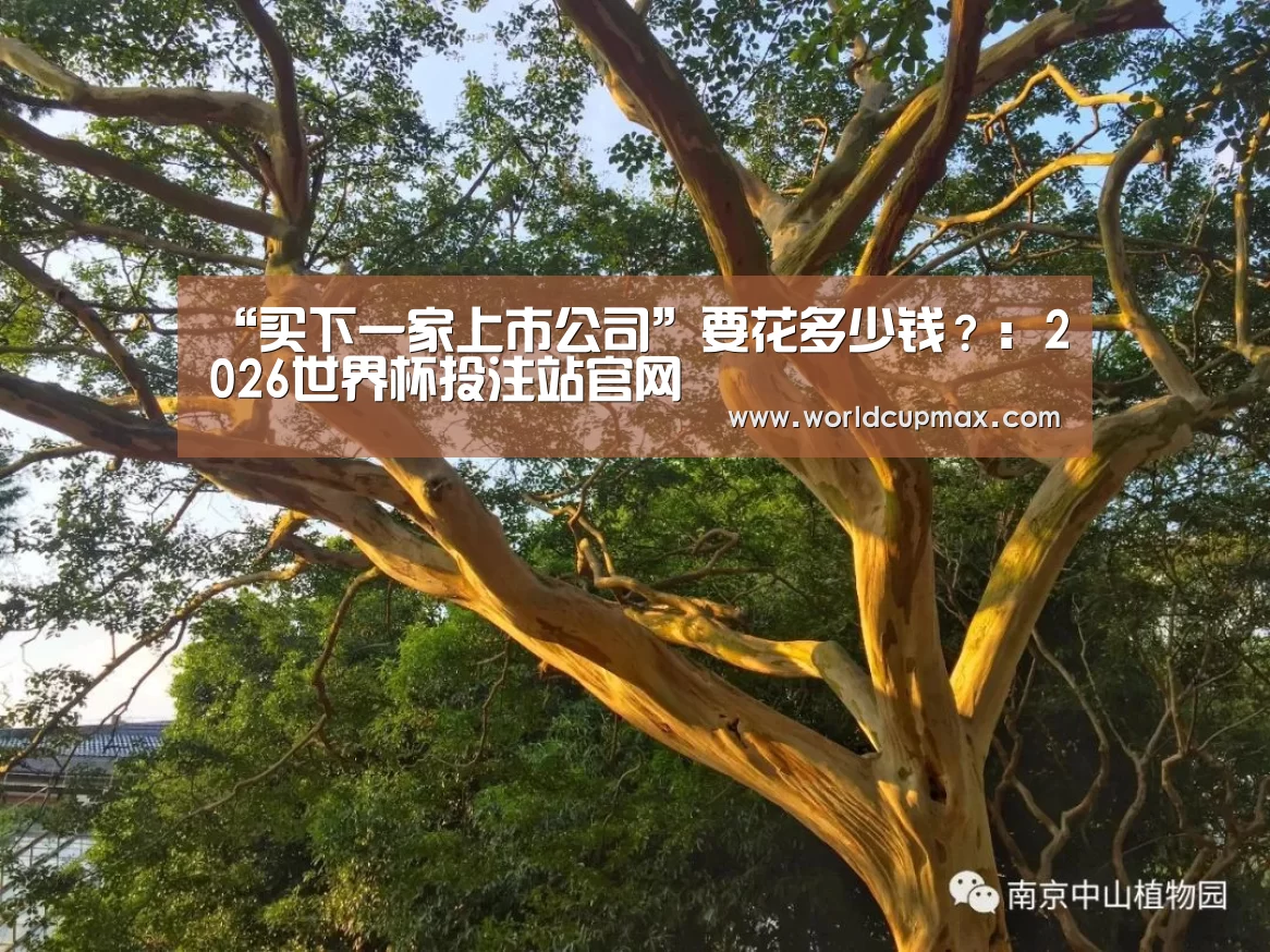 “买下一家上市公司”要花多少钱?:2026世界杯投注站官网(图3) 2026世界杯投注站官网