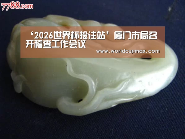 ‘2026世界杯投注站’厦门市局召开稽查工作会议(图1) 2026世界杯投注站官网