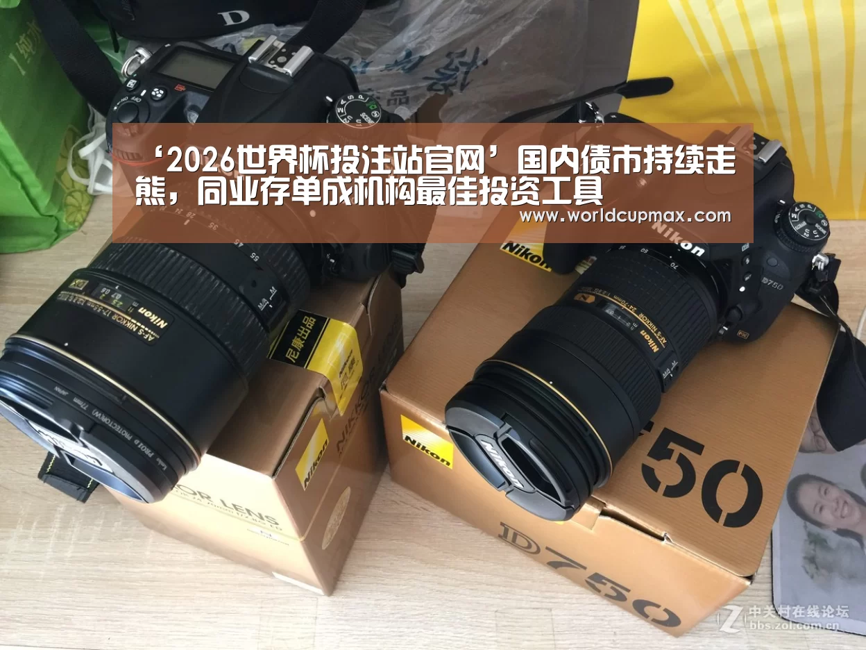 ‘2026世界杯投注站官网’国内债市持续走熊,同业存单成机构最佳投资工具(图1) 竞猜世界杯